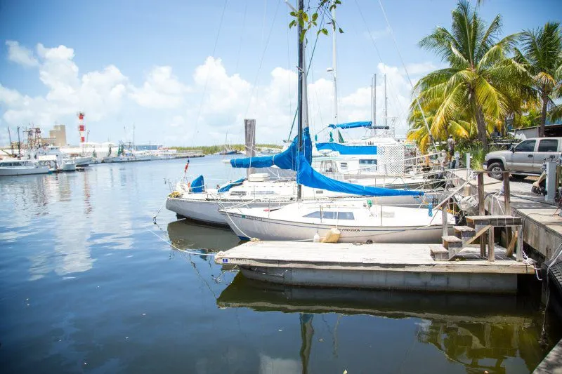 The harbor behind Hogfish Bar & Grill at Safe Harbor Marina